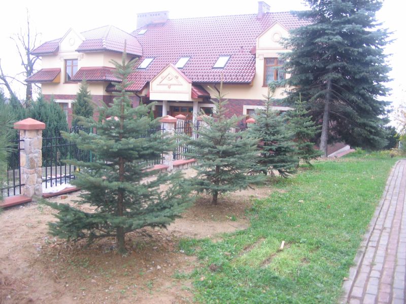 brama 008